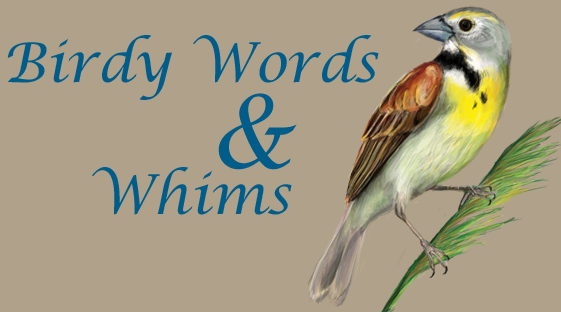 birdy words & whims