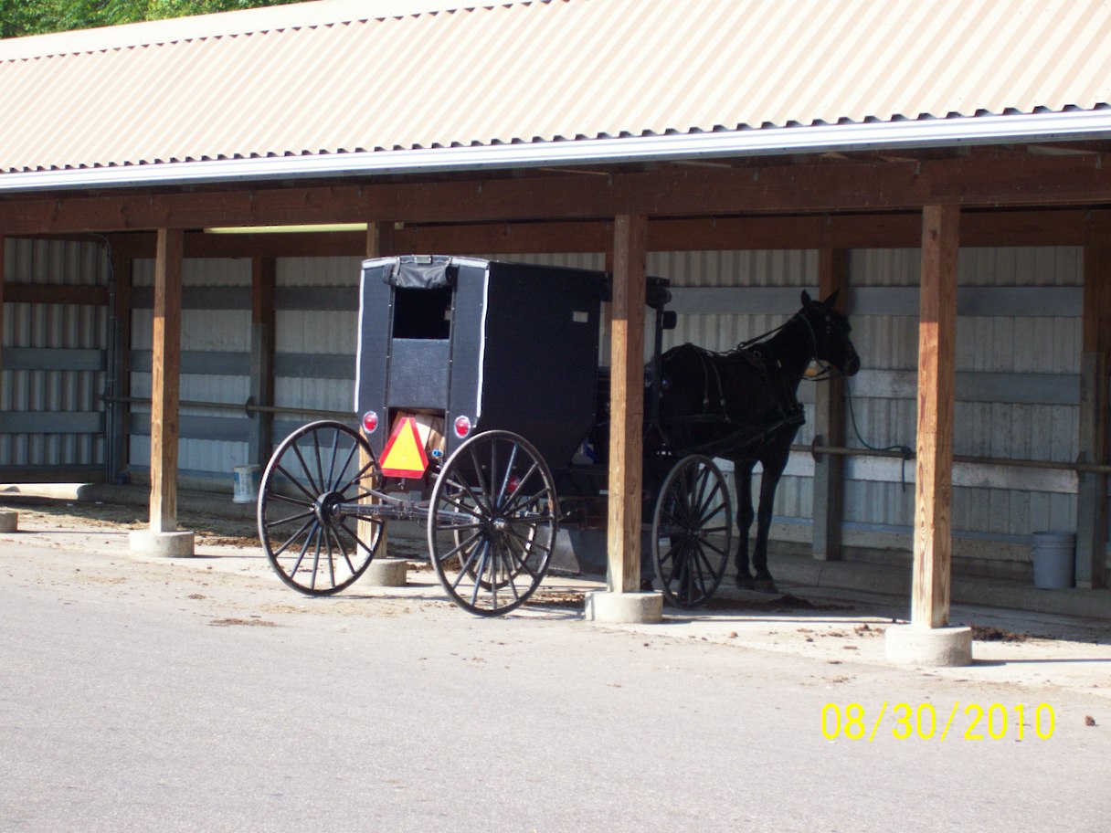 Amish At Walmart