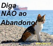 POR QUE ABANDONAR?