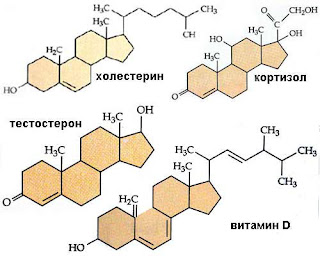 Холестерин, американцы, диета, гормоны,анаша
