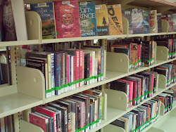 New Fiction Shelves