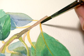 Paint Draw Paint, Learn to Draw: Watercolor Demo: Pineapple Guava