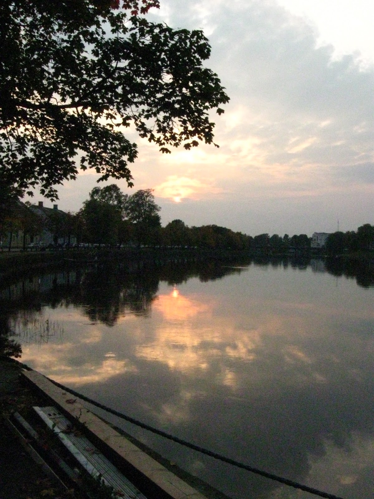 Blomsterbo: september 2010