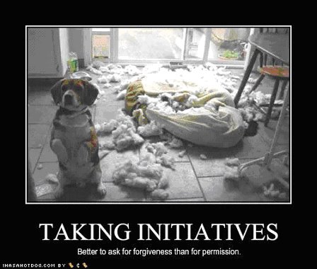 [dog.bmp]