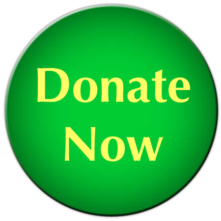 donate donation please eye student money