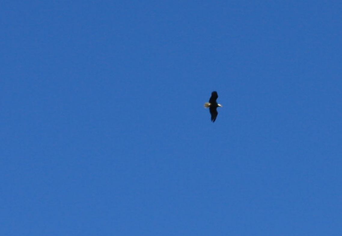 [IMG_5090.JPG]