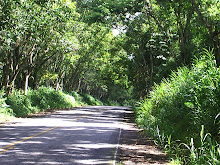 ESTRADA DE BANANAL - SP