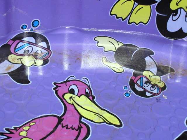 [water-in-pool.jpg]
