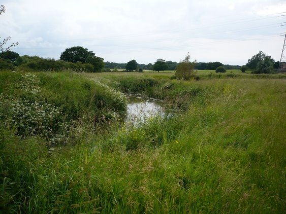 [river+small.jpg]