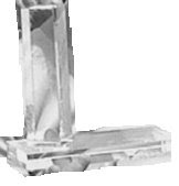 Clube do Ano Minibasquete