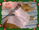 Feliz Natal!