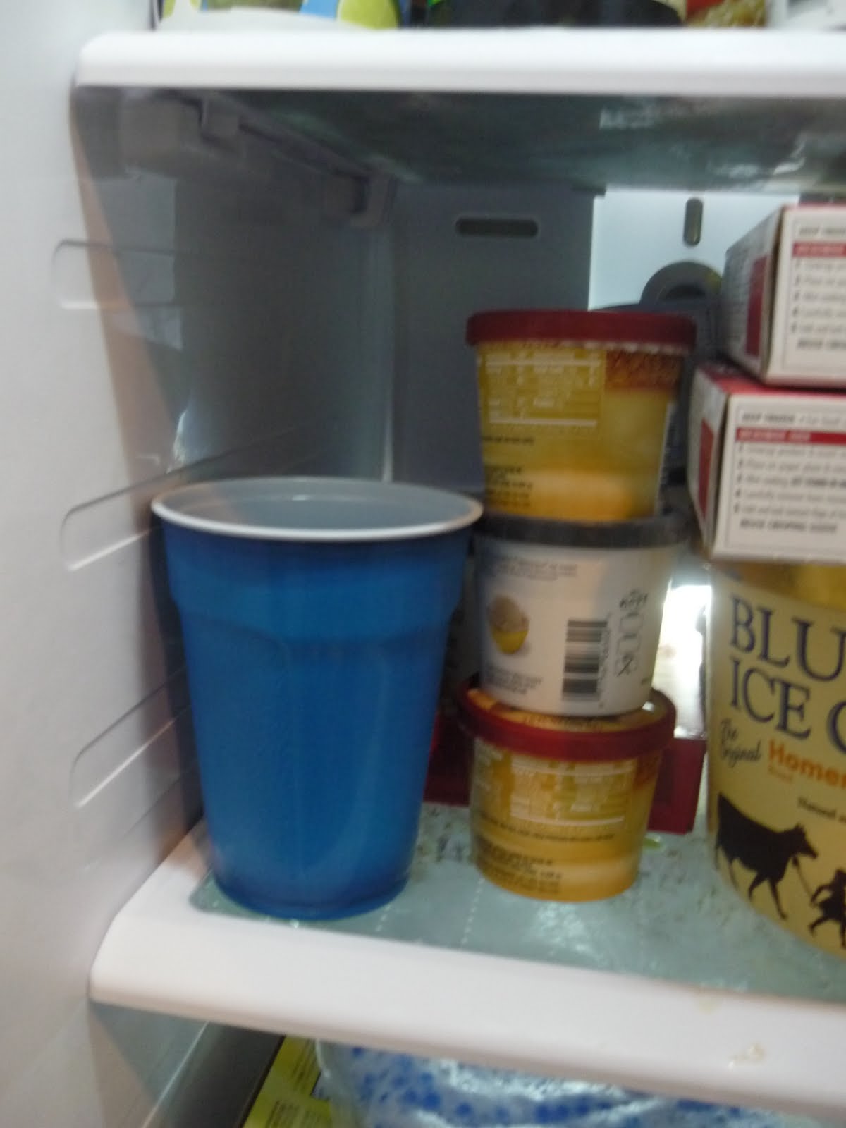 Chemistry Blog Marshmallow Chemical vs. Physical Changes