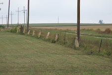 Stone Fence Posts of Kansas
