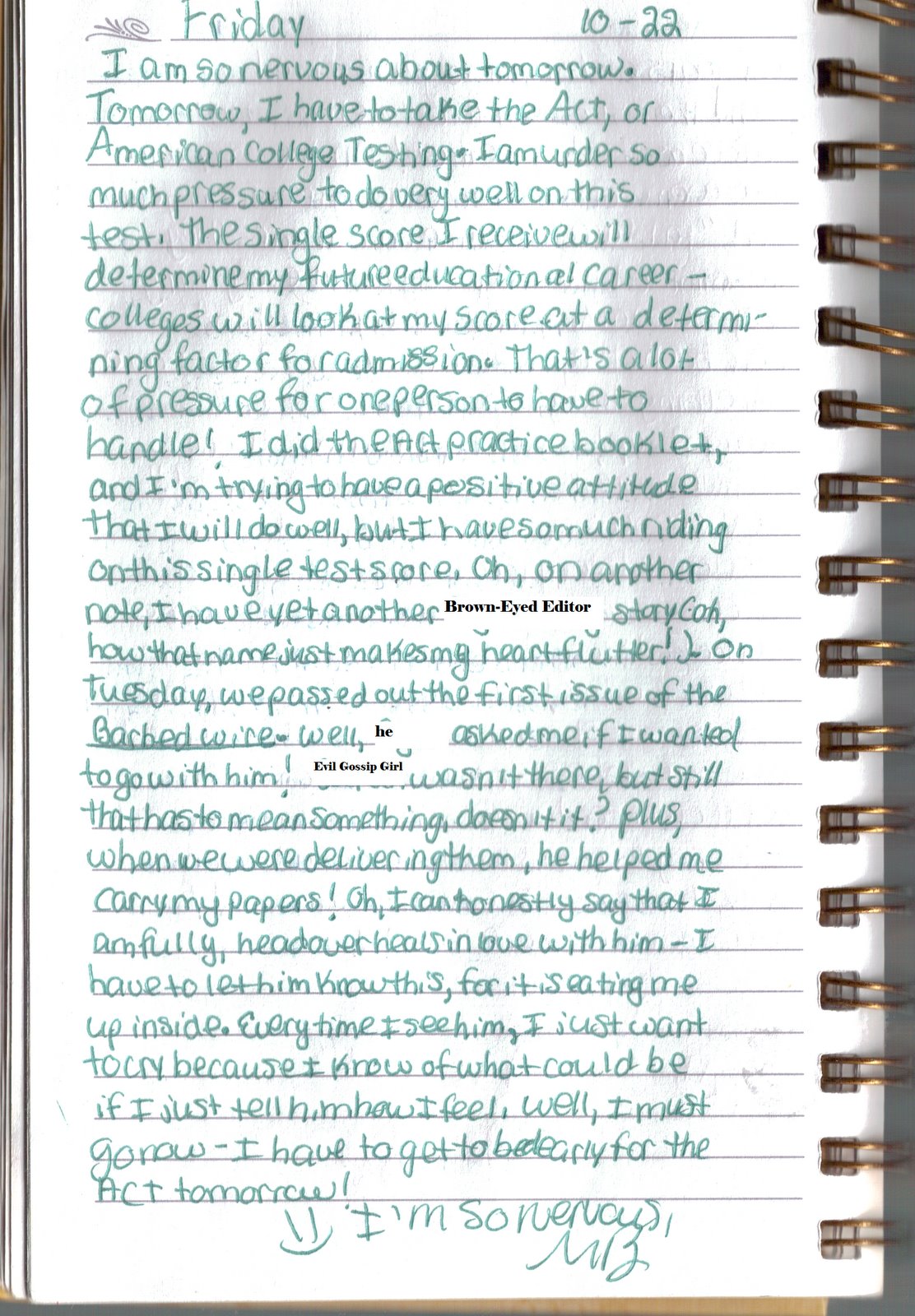 [diary.bmp]