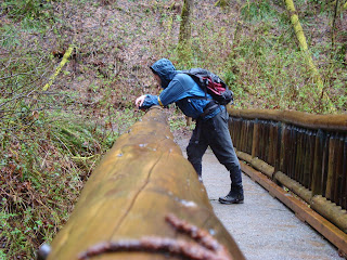 squak mountain east ridge phils creek hikingwithmybrother