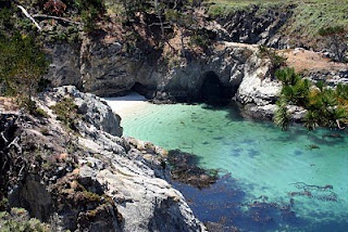 Acidification of Oceans