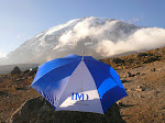 IMD on Kilimanjaro