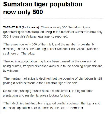 Sumatran Tiger Population Trend