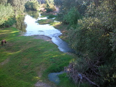 RIO GUADIARO A SU PASO POR TESORILLO