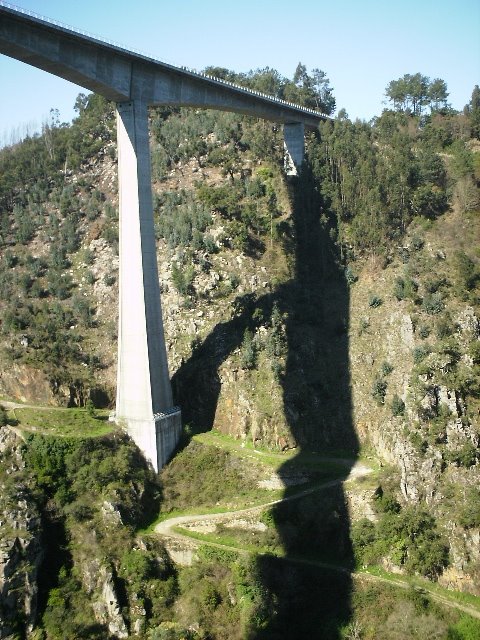 [IMG_0304.JPG]
