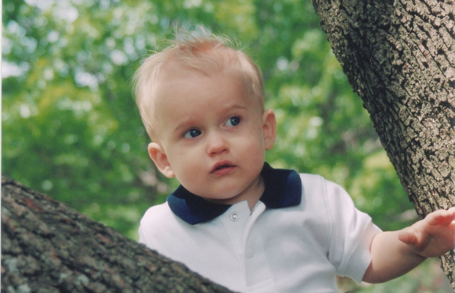 [RawScan3resize.jpg]