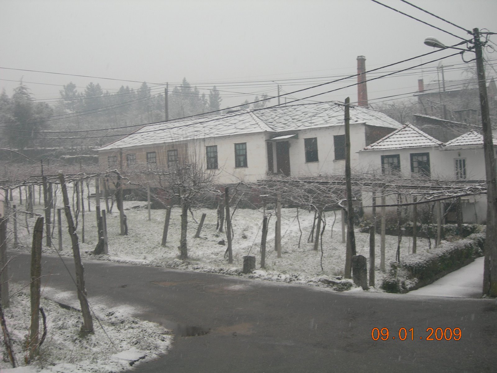 [DSCN5604.JPG]