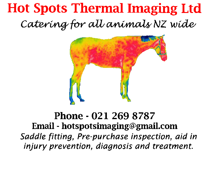 Hot Spots Thermal Imaging Ltd