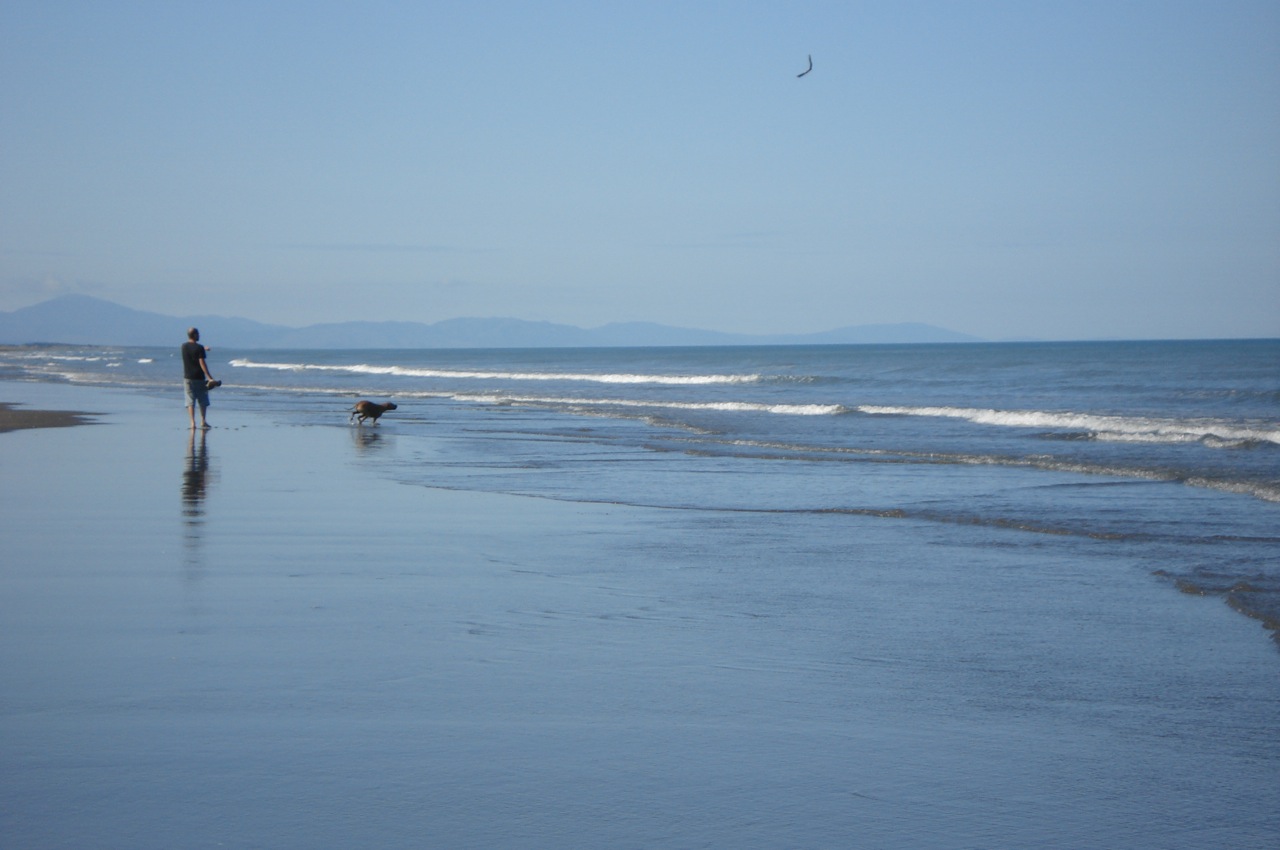 [DSC08366.jpg]