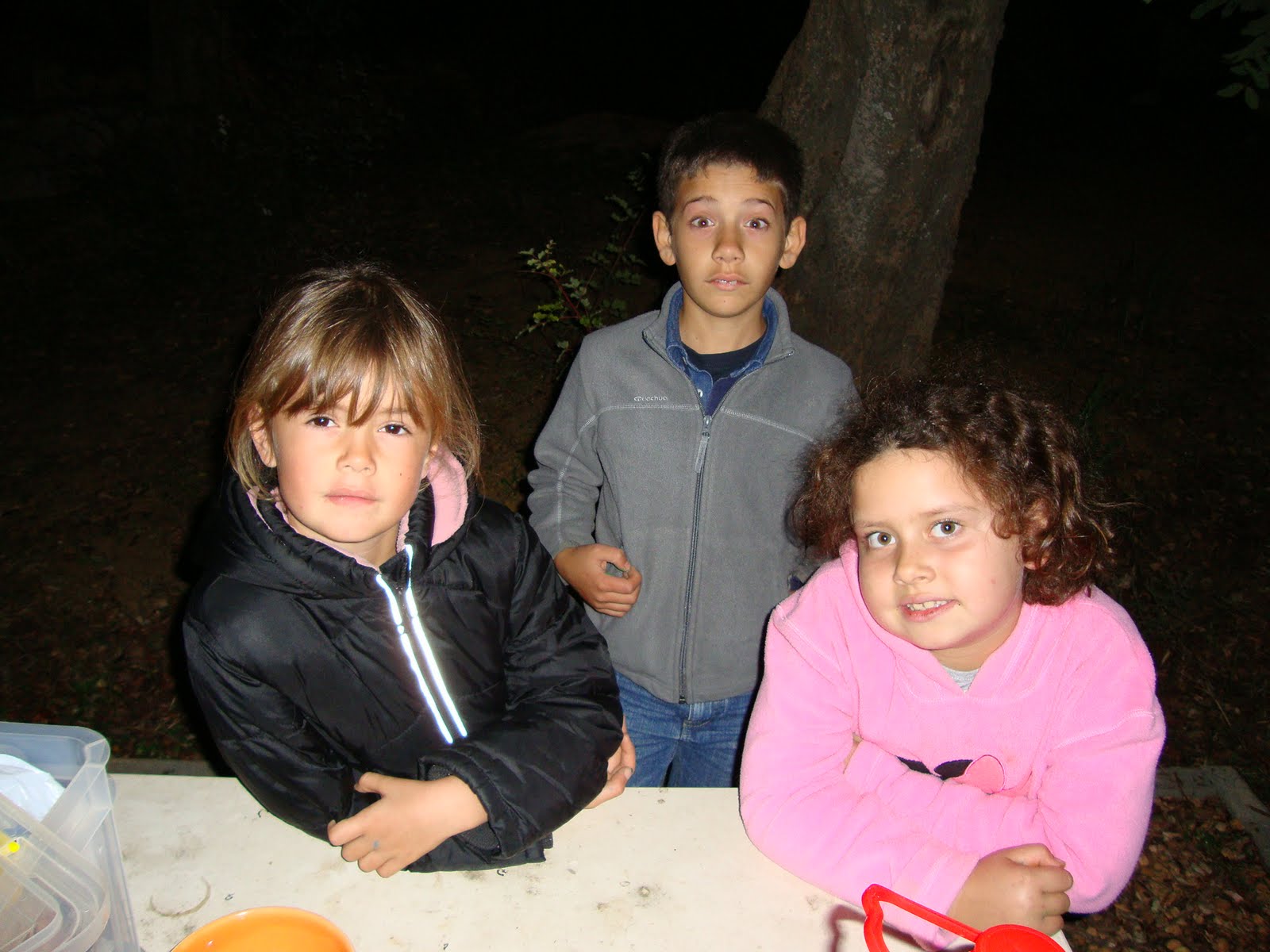 [DSC00369.JPG]