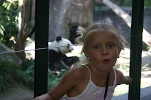 The Panda