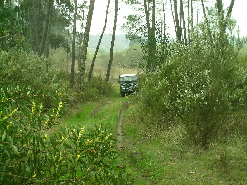 [Copy+of+IMG_0130.JPG]