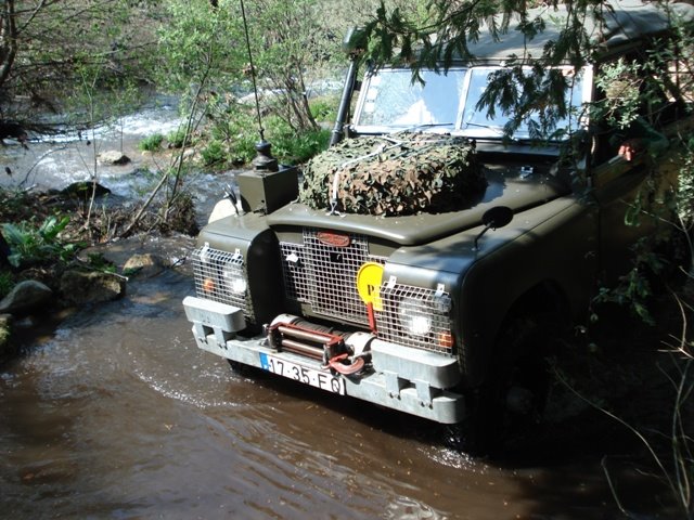 [DSC01273.JPG]