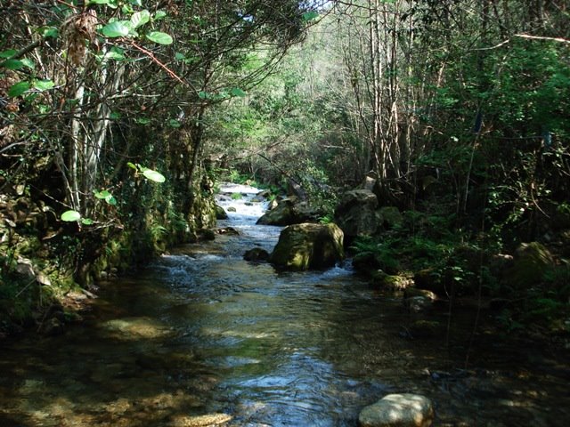[DSC01263.JPG]
