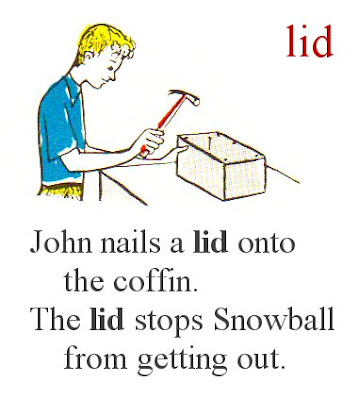 Todays word is Lid