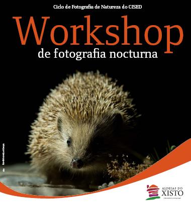 [CISED-CursoNoct.JPG]