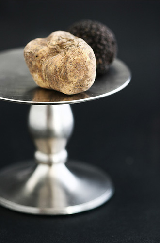 [truffles.jpg]