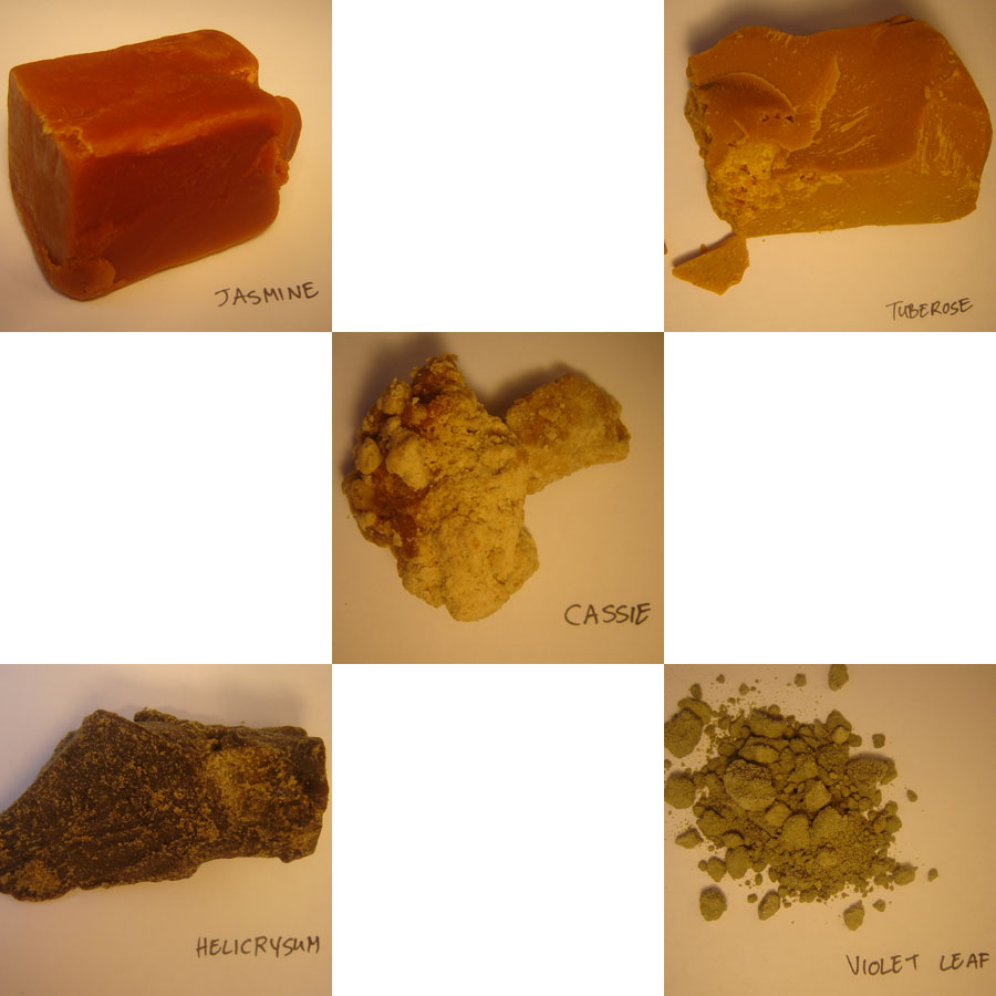 [FloralWaxesBIG.jpg]