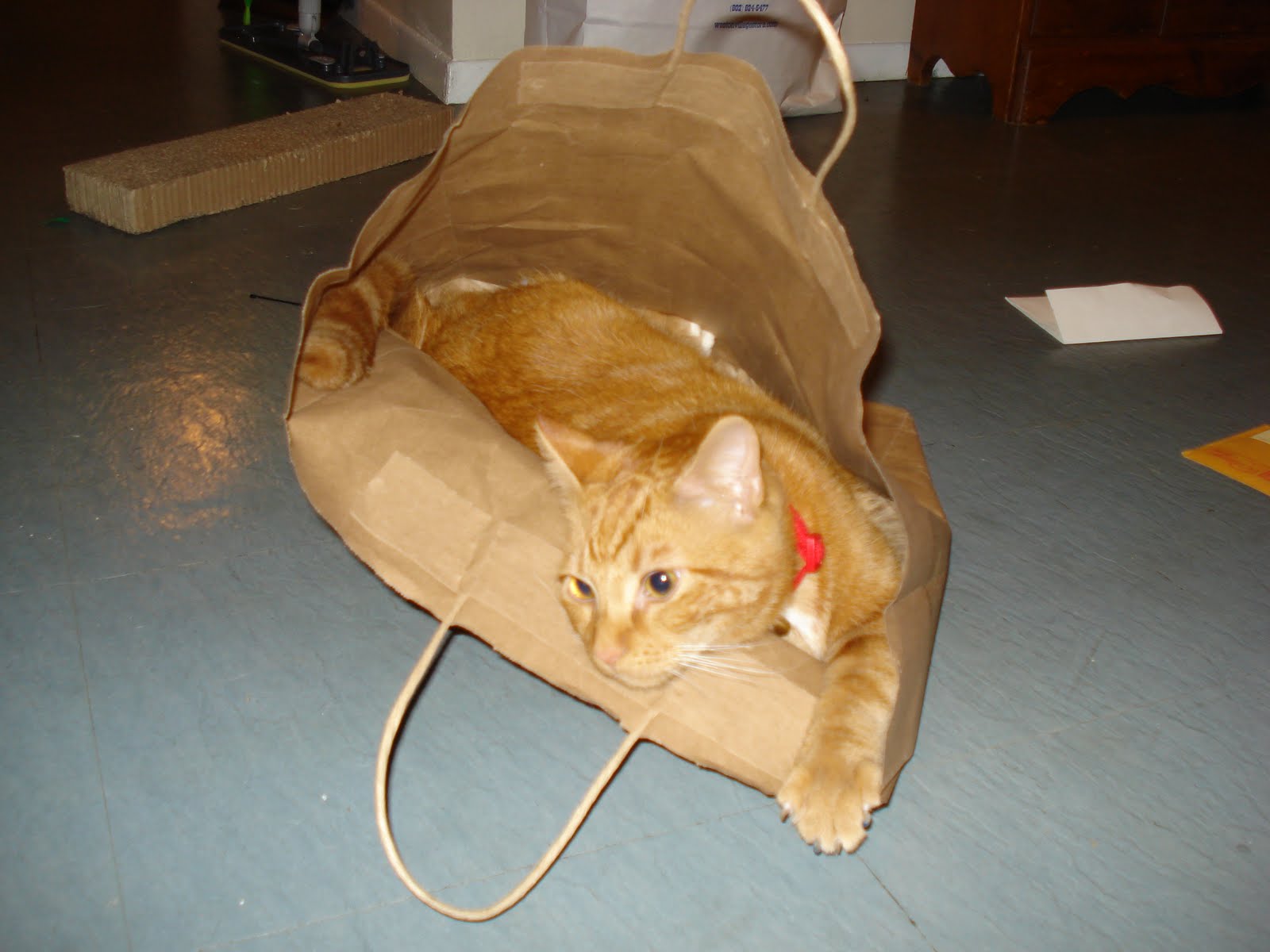Clem Bag