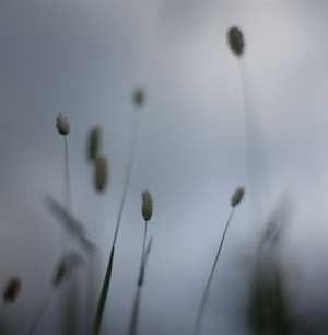 [float]