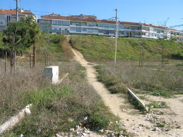 [IMG_1451.JPG]