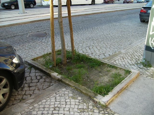 [H401.JPG]