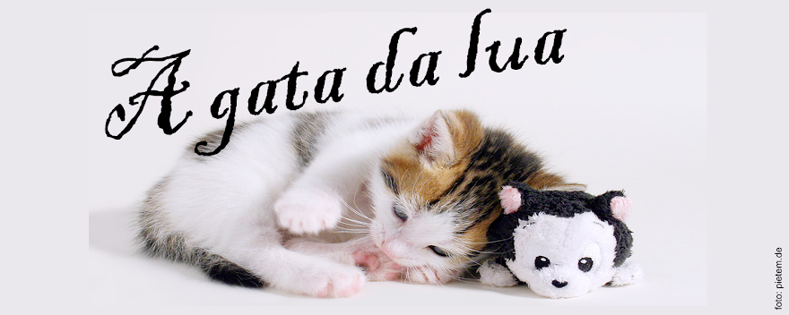 A Gata da Lua