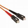 [fibra.jpg]
