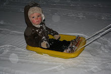 Loved sledding with his daddy