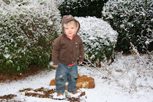 Our first snow! He was pumped.