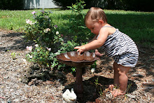 Playing in bird bath...again