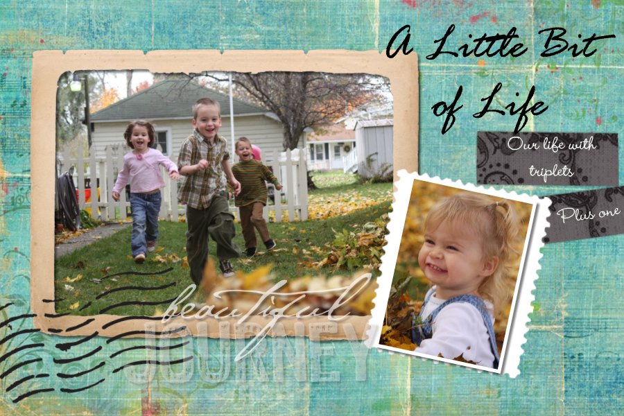 A Little Bit of Life