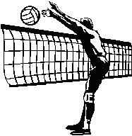 VOLEIBOL