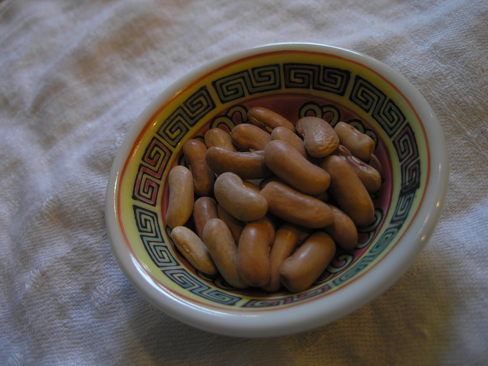 [P2240035.JPG]