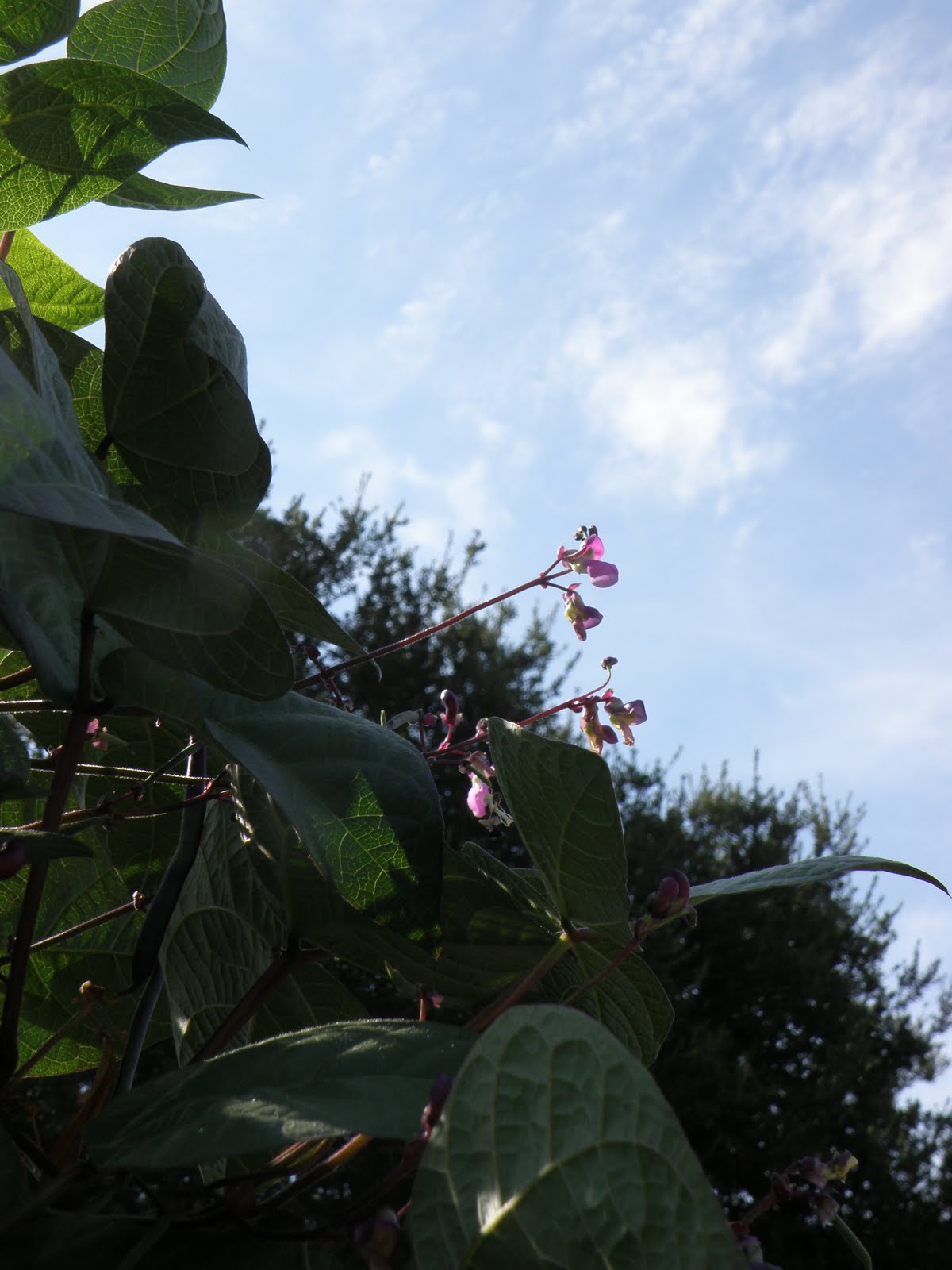 [P8210027.JPG]